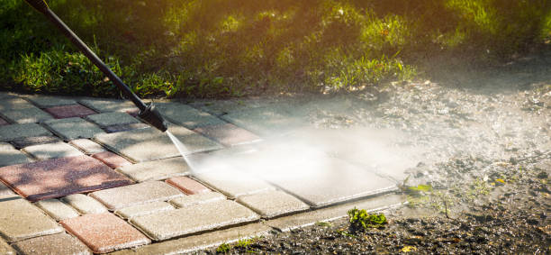 Best Sidewalk and Walkway Cleaning  in Auburn, NE